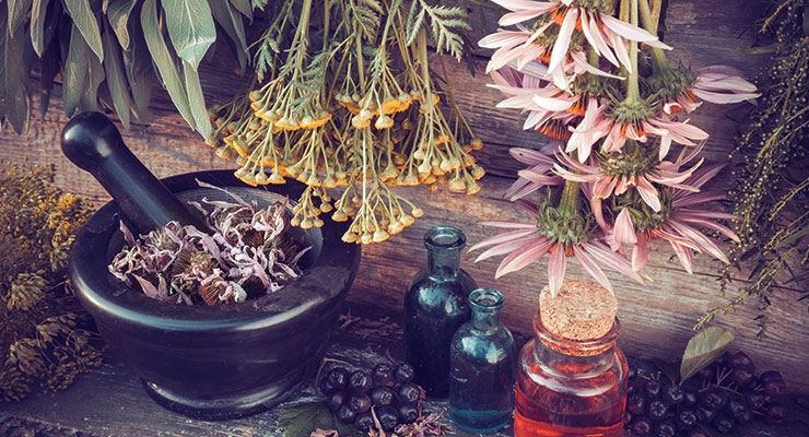 Herbal Cosmetics and nutraceuticals